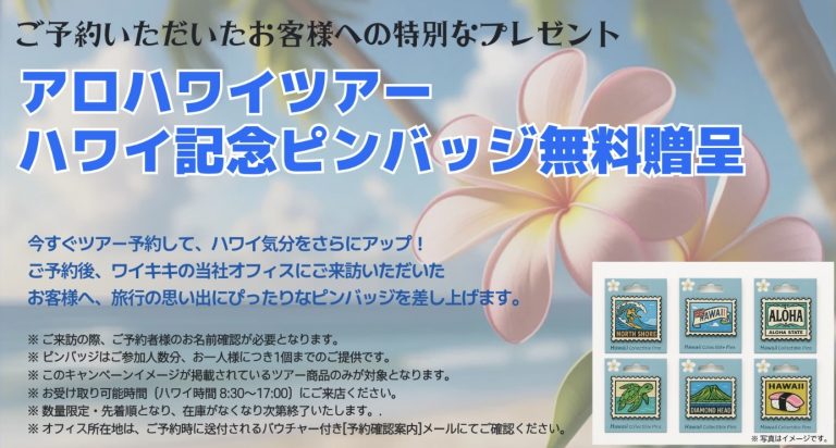対象のツアーに参加して記念ピンバッジを貰おう！