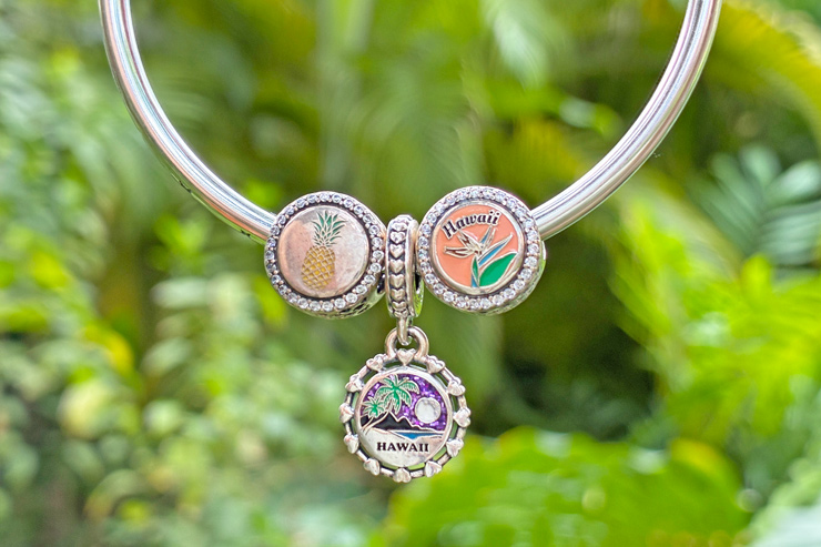 家族を象徴するパイナップル、バードオブパラダイス、ダイヤモンドヘッドのチャーム