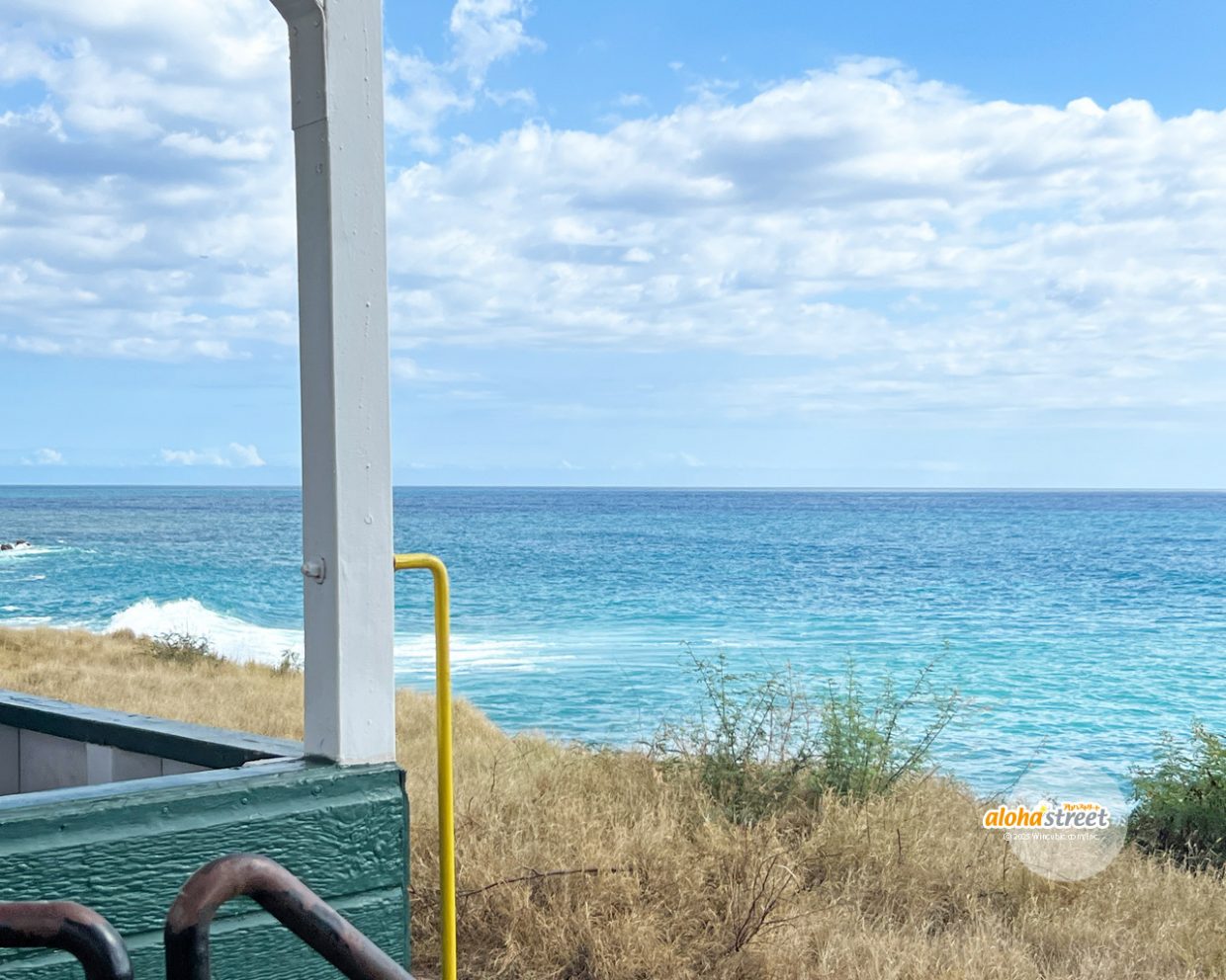 列車に揺られながら眺める絶景