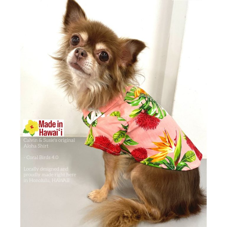 【カルビン＆スージー】お土産にハワイ製ペット用アロハ🎁
