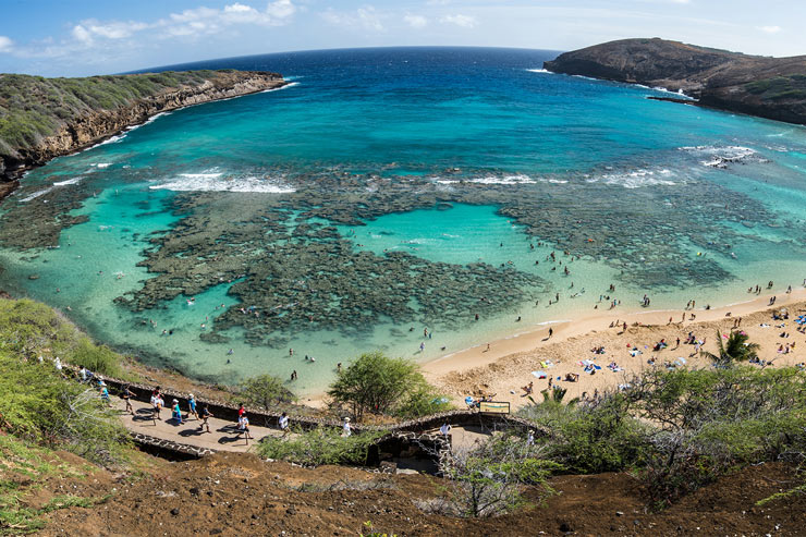 ロバーツハワイにハワイ州公認ハナウマ湾ツアーが登場