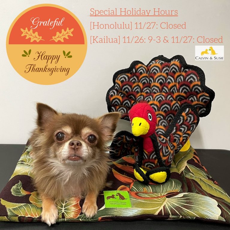 【カルビン＆スージー】祝日11/27サンクスギビング営業時間