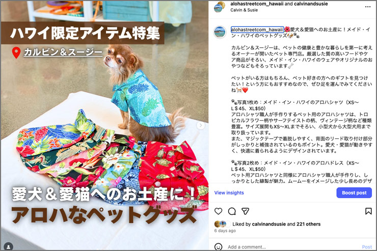 ハワイ カルビン＆スージー