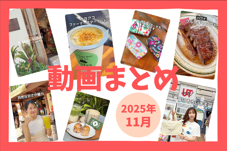 11月に公開したハワイの動画まとめ