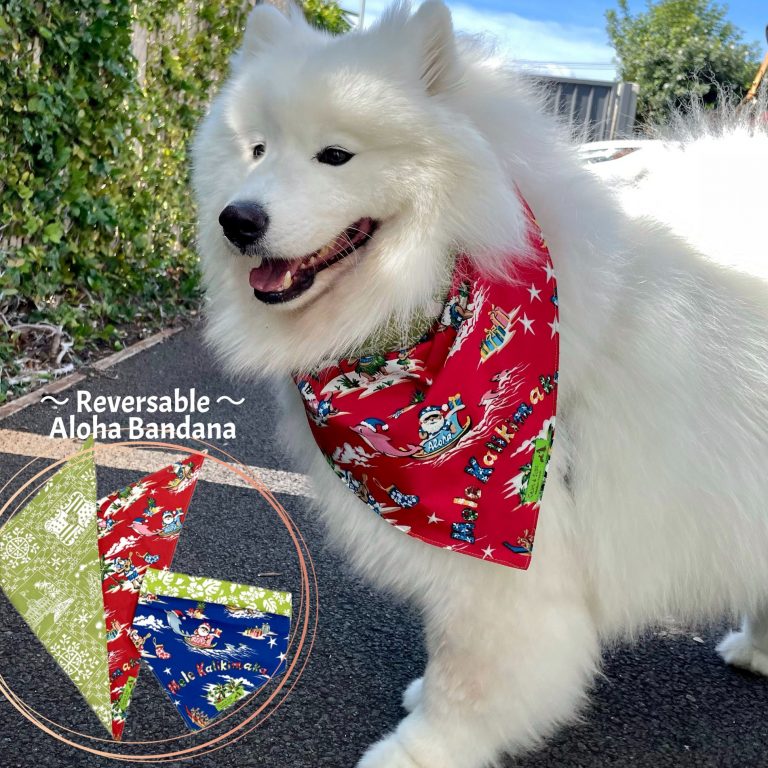 【カルビン＆スージー】リバーシブルバンダナをギフトに🎁