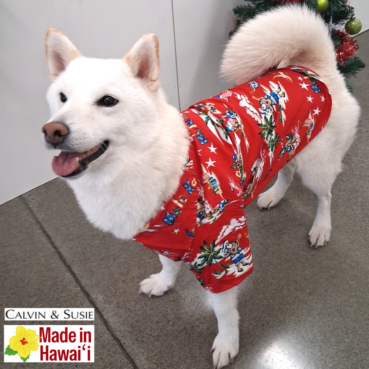 【カルビン＆スージー】クリスマスアロハで愛犬と楽しくお祝い