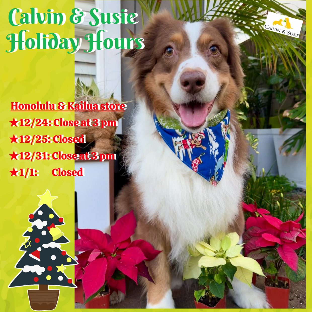 【カルビン＆スージー】ペットへお土産☆年末ホリデー営業時間