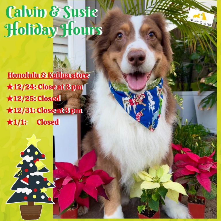 【カルビン＆スージー】ペットへお土産☆年末ホリデー営業時間