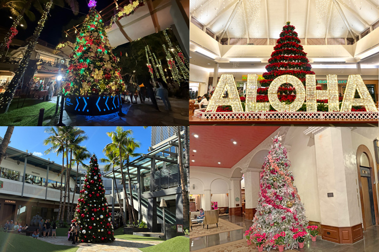 2025年ハワイのクリスマスツリーまとめ