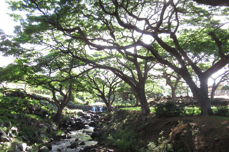 女王の別荘地跡に広がる リリウオカラニ植物園