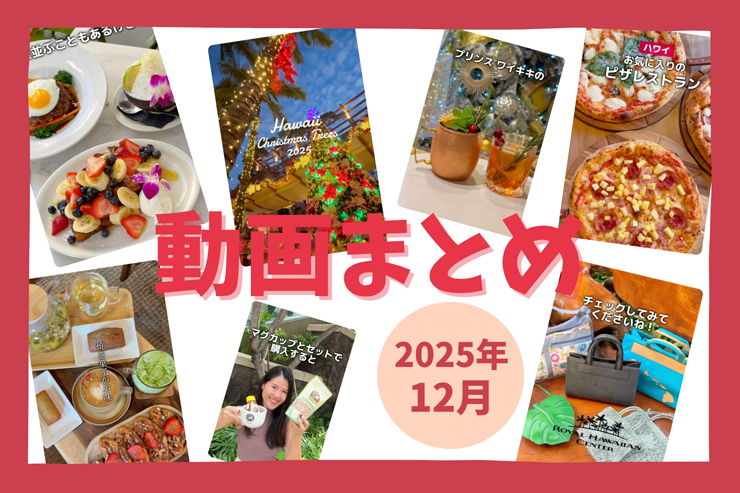 12月に公開したハワイの動画まとめ