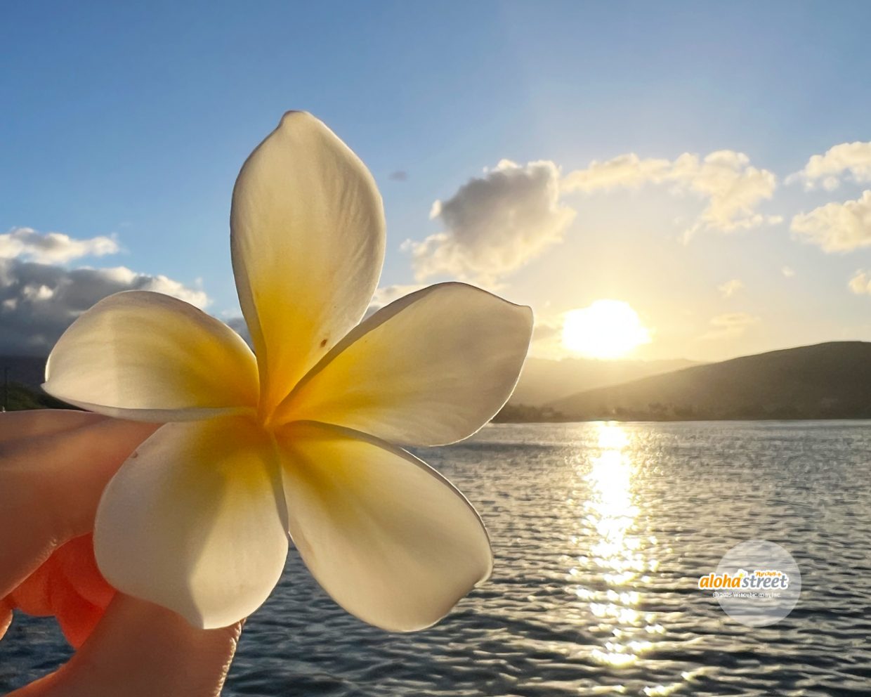 2026年も良い年になりますように…！