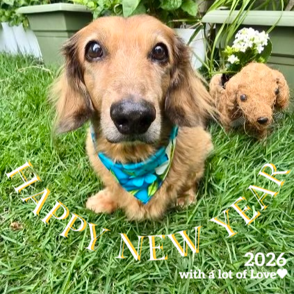 【カルビン＆スージー】愛犬・愛猫へお土産❣年末年始の営業時間