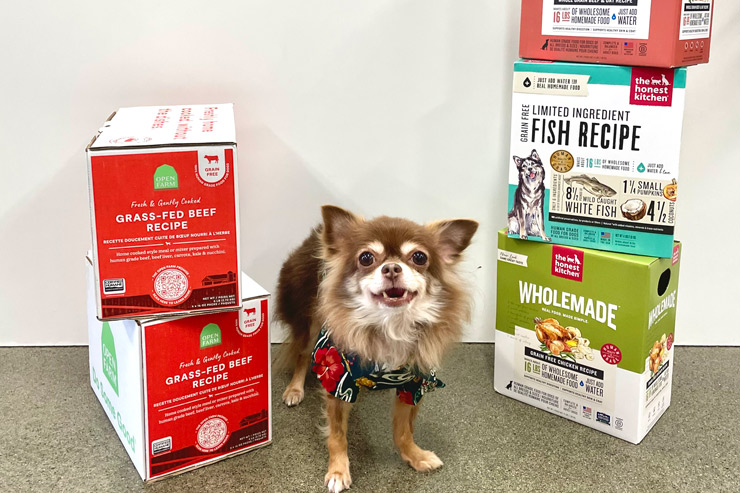 ハワイの愛犬家必見！1月限定セールでフードがお得に