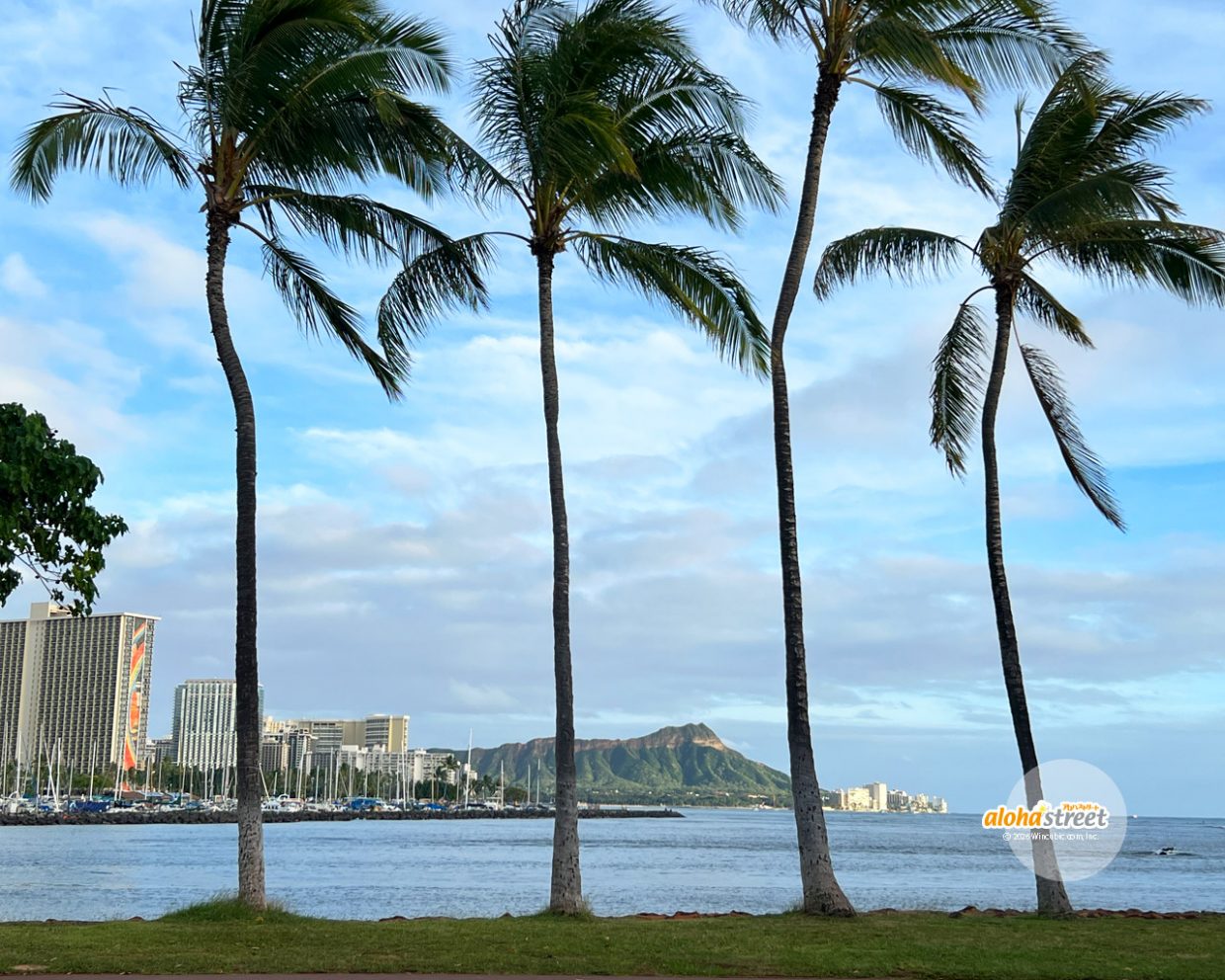 ハワイの冬を感じる緑のダイヤモンドヘッド