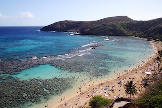 透明度抜群のハナウマ湾へ！事前予約＆送迎付きでストレスフリー🐠