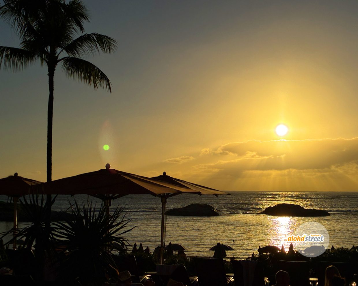 南国のリゾートで眺めるサンセット