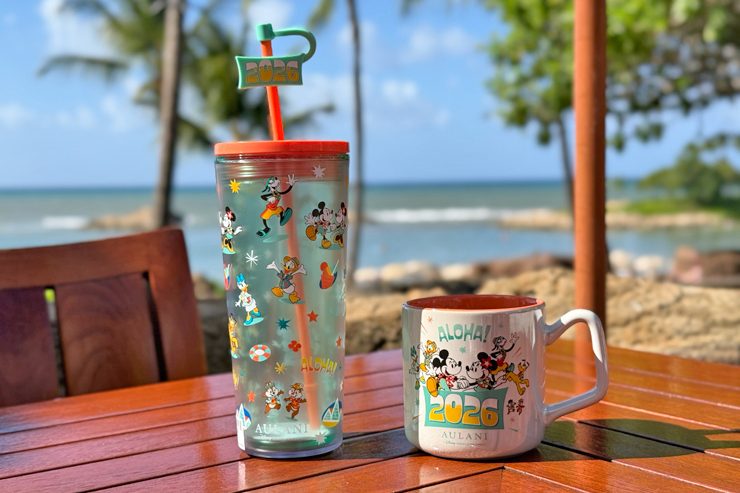 アウラニ限定 ウォーターボトル＆マグカップ