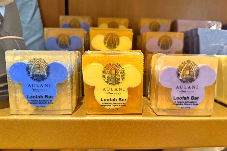 アウラニ限定 スープ