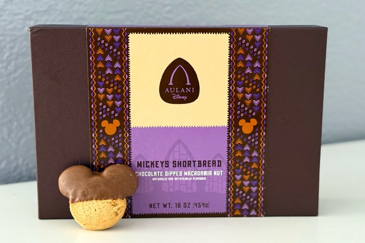 アウラニ限定 ミッキー型クッキー