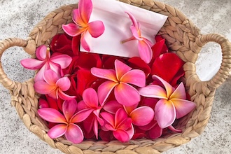 ハワイの海で行う特別な海洋記念葬🕊️🌊