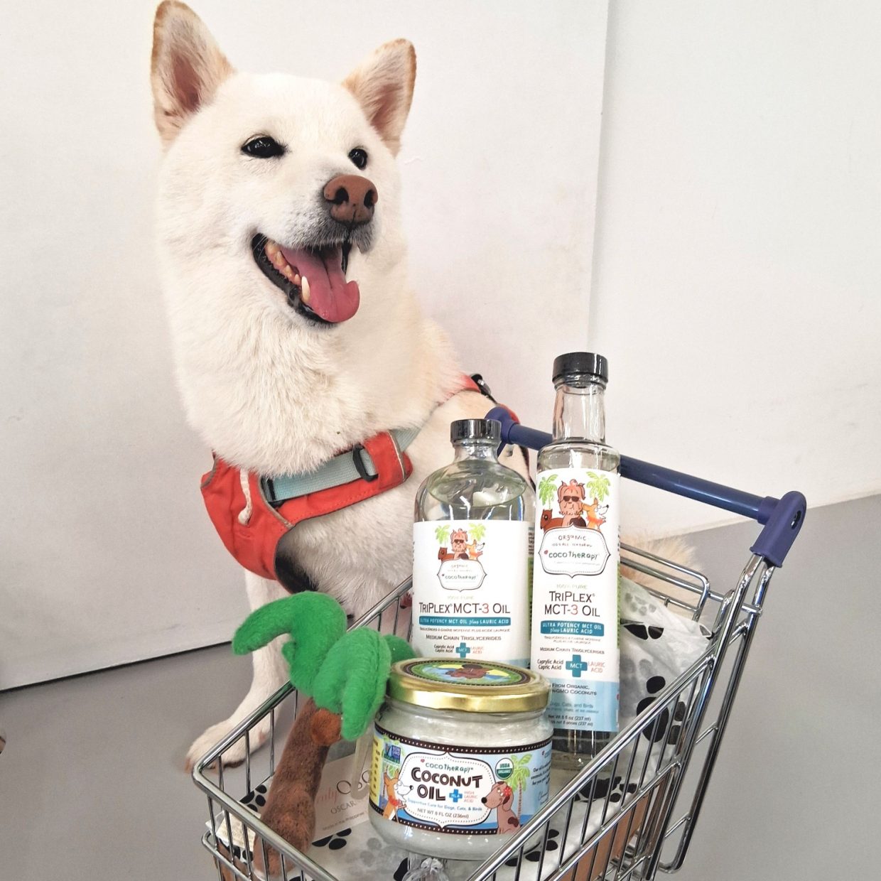 【カルビン＆スージー】ハワイで買うペット用ココナッツオイル