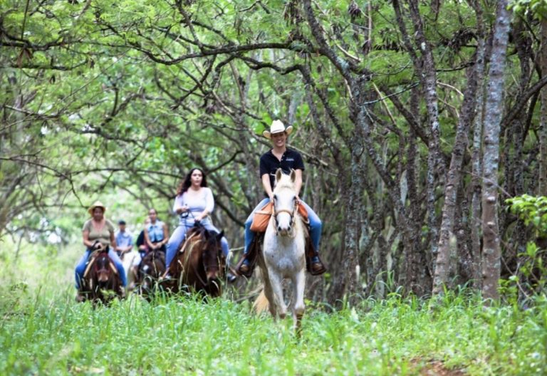 大自然の中で乗馬体験🫏