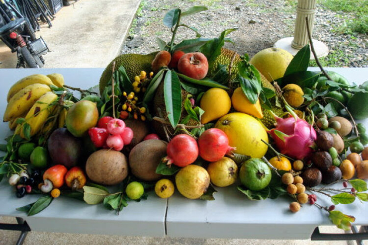 海も山も空も！ハワイで楽しむおすすめツアー4選