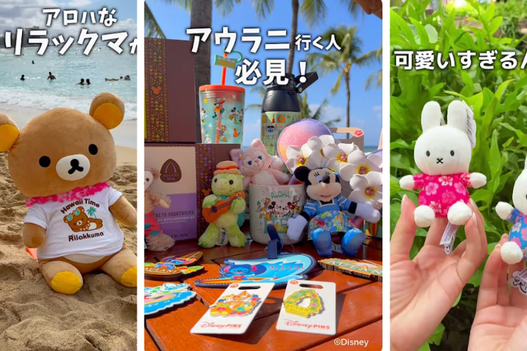 1月に公開したハワイの動画まとめ