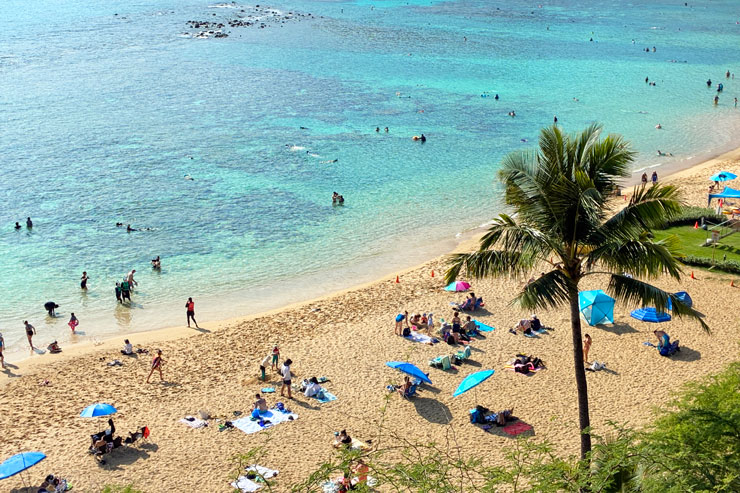 ロバーツハワイ ハナウマ湾ツアー