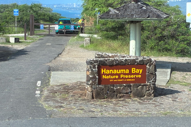 ロバーツハワイ ハナウマ湾ツアー