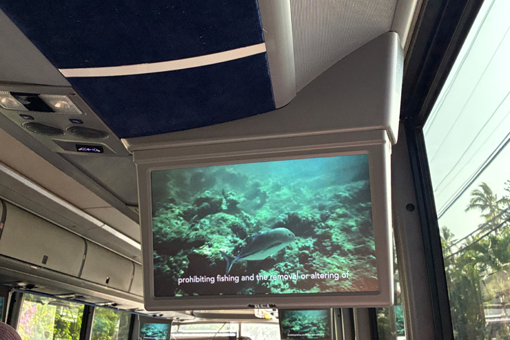 ロバーツハワイ ハナウマ湾