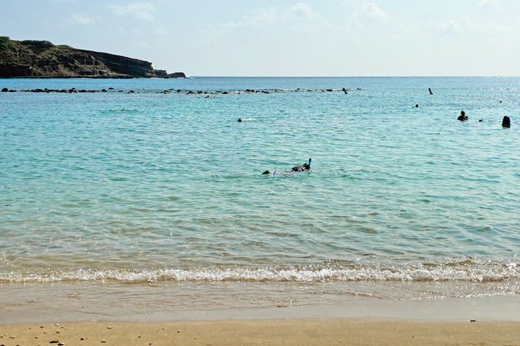 ロバーツハワイ ハナウマ湾ツアー