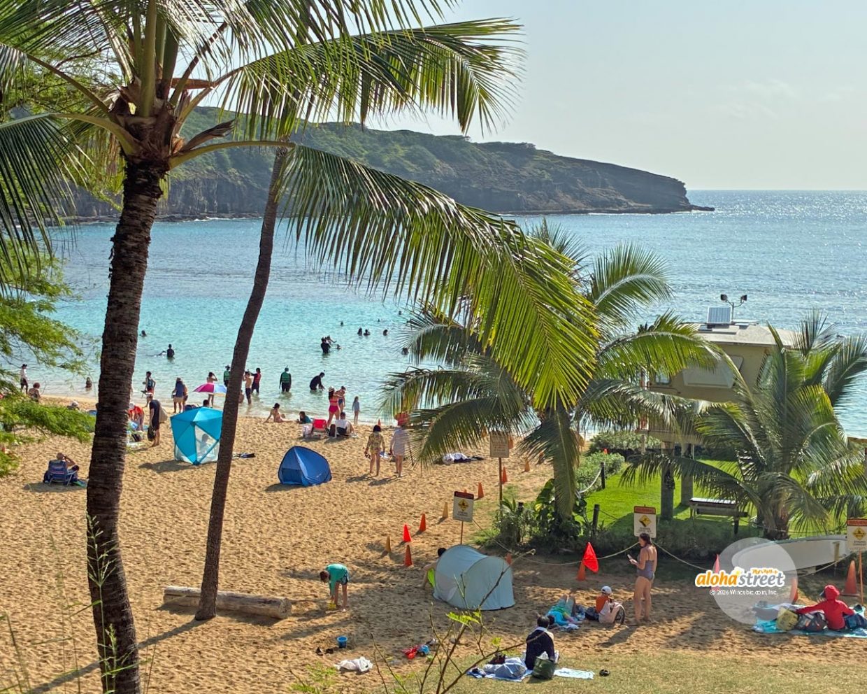 穏やかで美しい海に感動