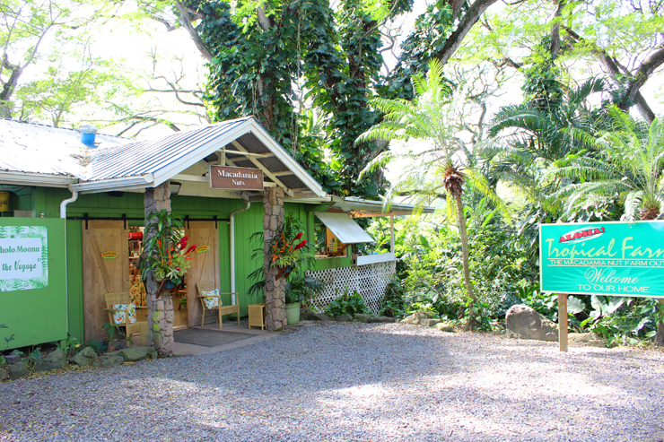 アンドユークリエーションが催行する人気の観光ツアー「アイランド＆ユー」