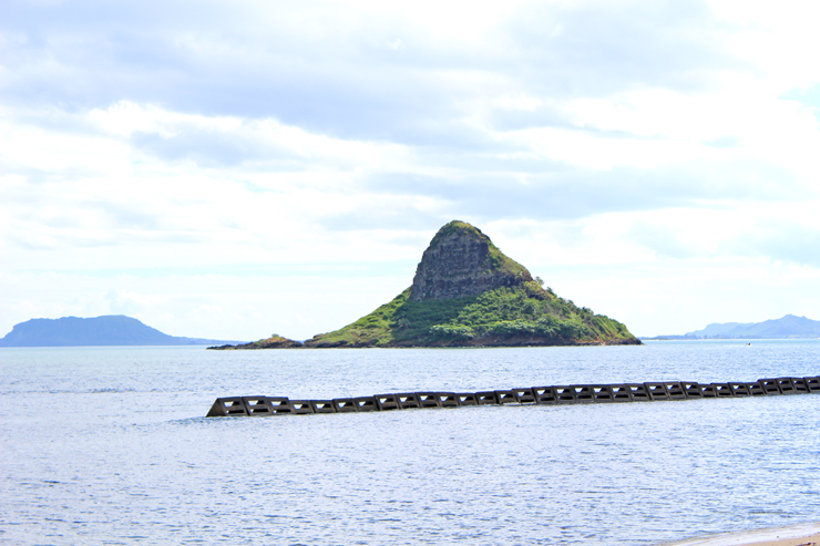 アンドユークリエーションが催行する人気の観光ツアー「アイランド＆ユー」