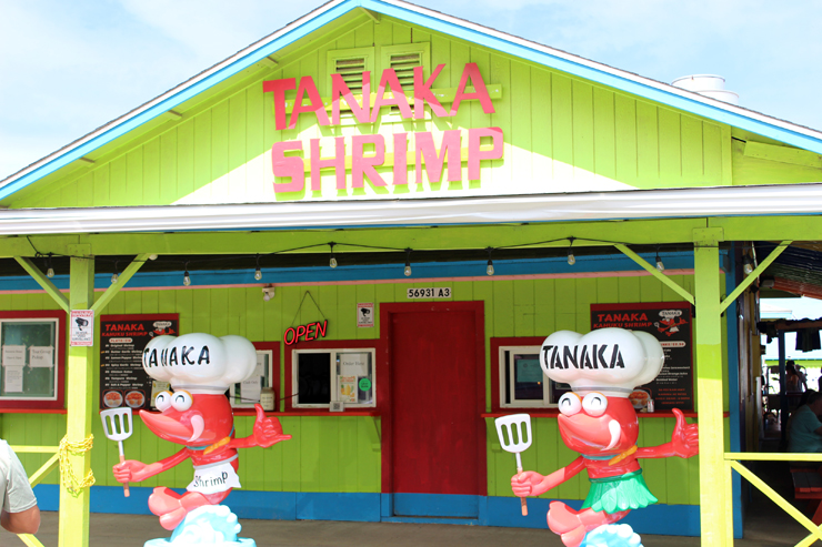 アンドユークリエーションが催行する人気の観光ツアー「アイランド＆ユー」