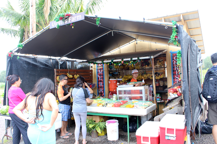 アンドユークリエーションが催行する人気の観光ツアー「アイランド＆ユー」