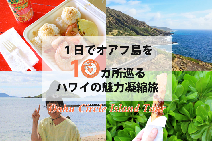 アンドユークリエーションが催行する人気の観光ツアー「アイランド＆ユー」