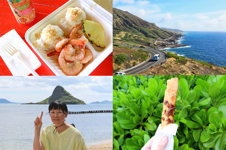 オアフ島1日周遊ツアーに同行！内容濃すぎの旅に大満足