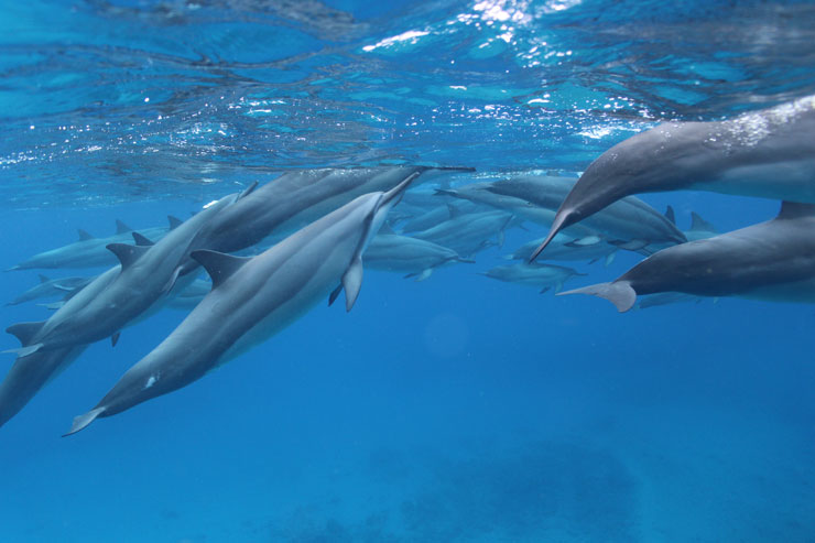 ゴールデンウィーク限定!全ツアー対象30%OFF