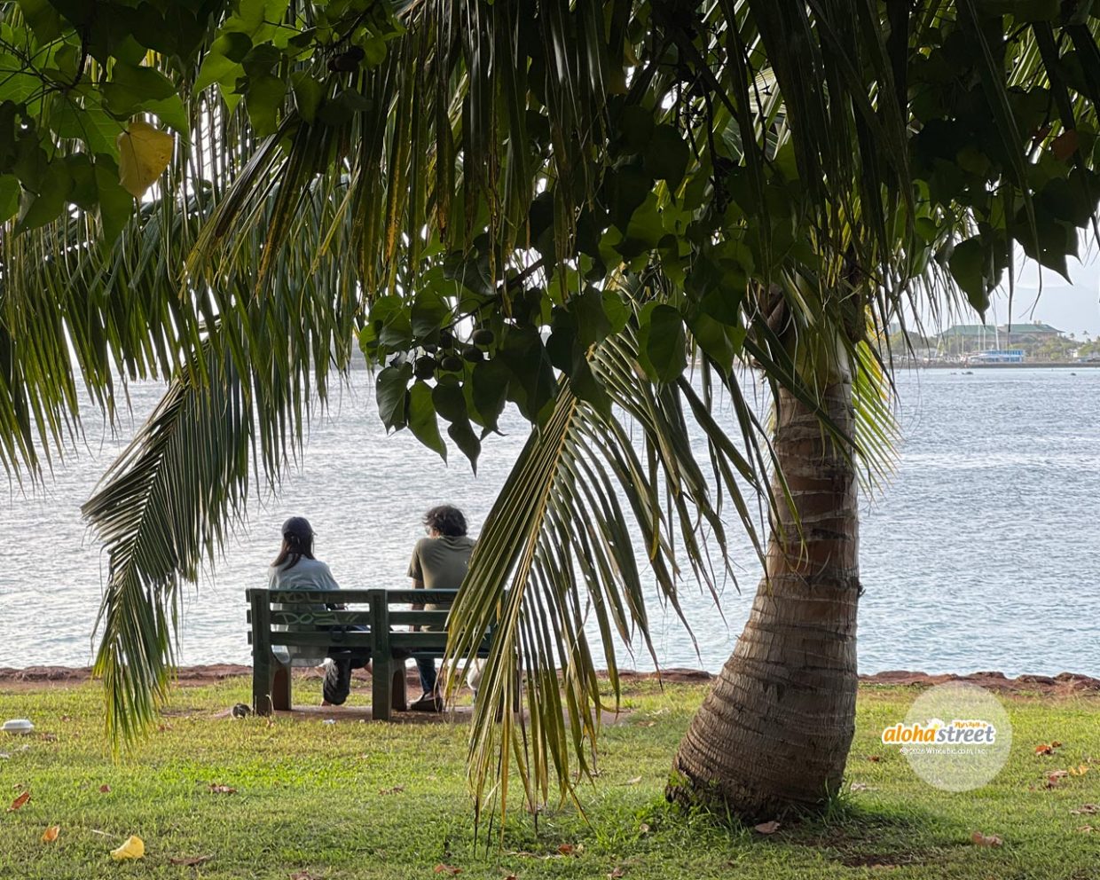 海辺のベンチで眺めるサンセット