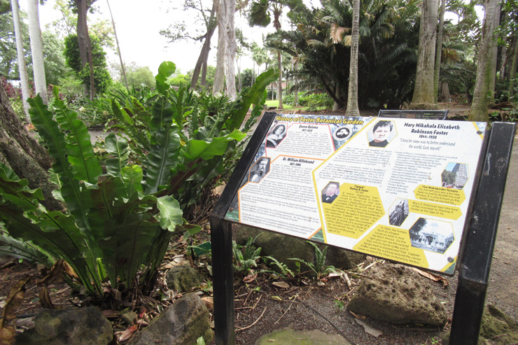 王国初の仏教徒、メリー・フォスターの想いがこもる植物園