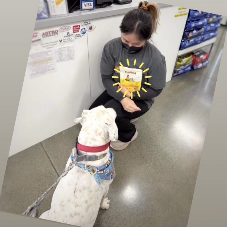 【カルビン＆スージー】ハワイで買う🧀ペット用チーズおやつ