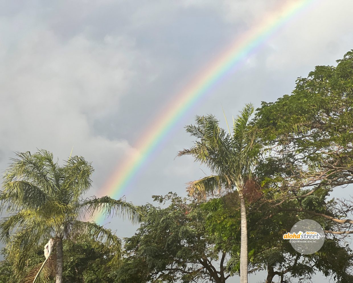 雨が降った後のお楽しみ