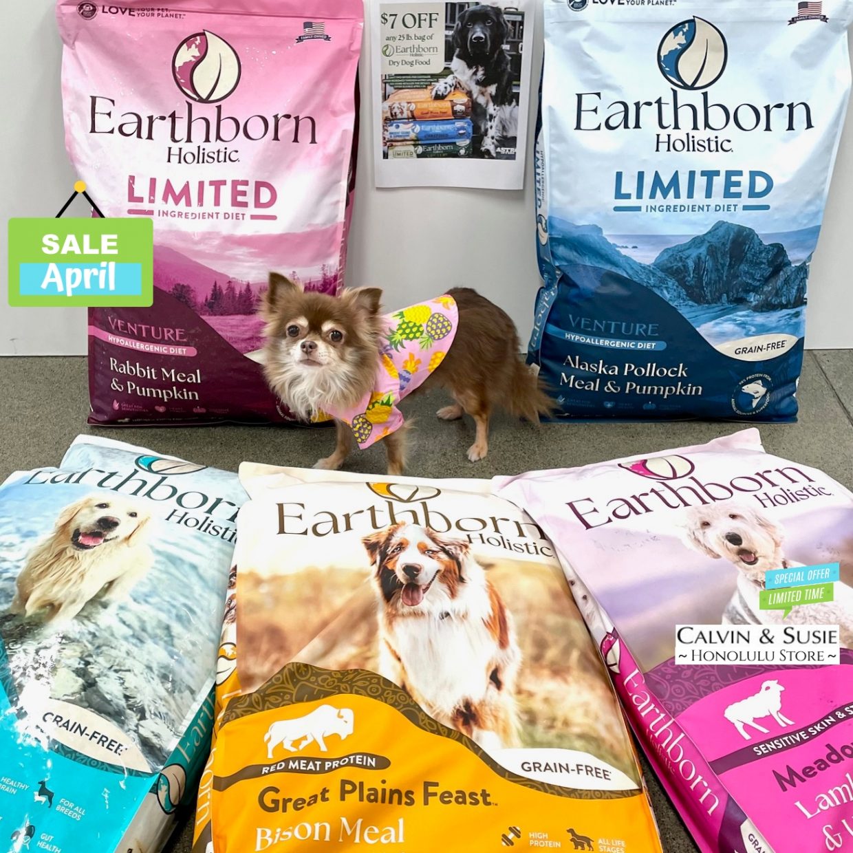 【カルビン＆スージー】ハワイで買うドッグフード４月お得情報