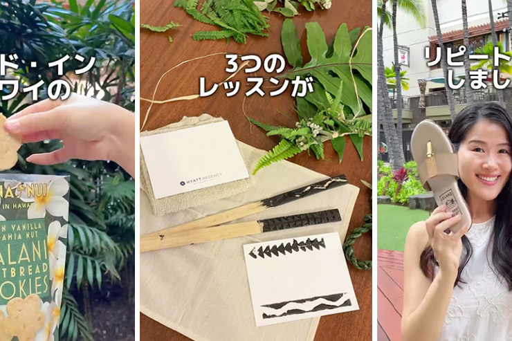 3月に公開したハワイの動画まとめ