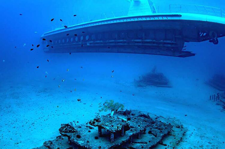 春のハワイ旅行で体験すべき4つのアクティビティ