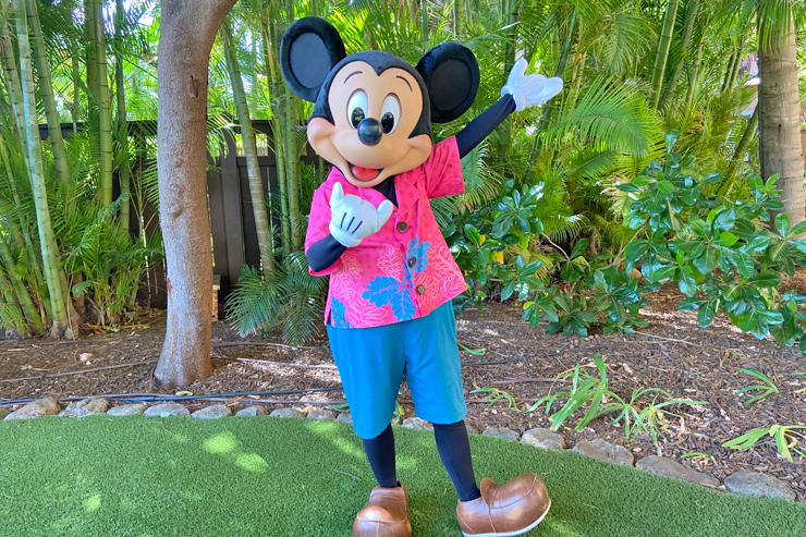 ハワイのアウラニで満喫！ディズニーキャラクター体験まとめ
