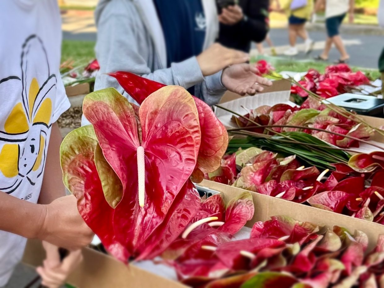 オーナーが市場で厳選した、新鮮なハワイの植物にも注目!